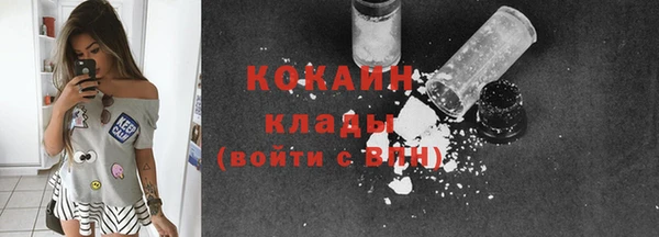хмурый Пересвет