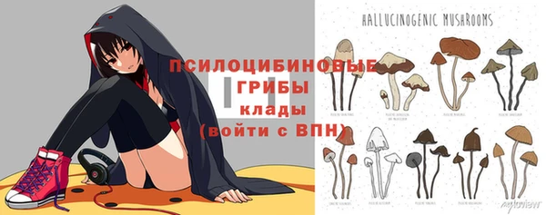 таблы Осташков