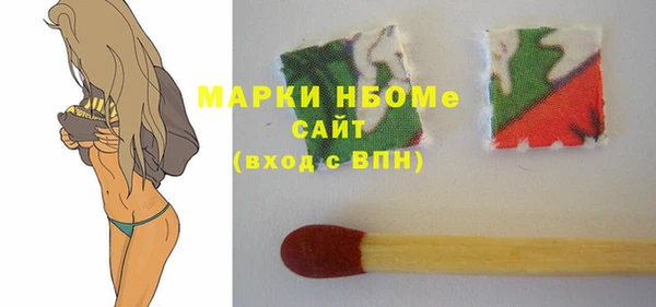 хмурый Пересвет