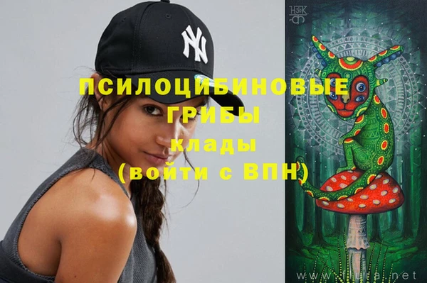 хмурый Пересвет