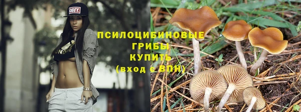 бошки Осинники