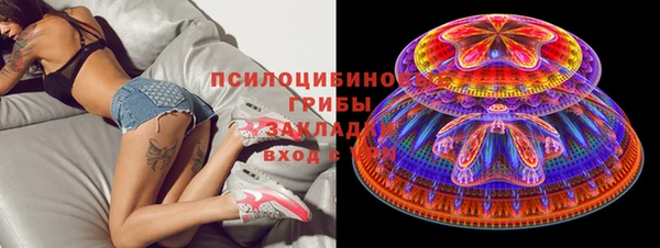 бошки Осинники